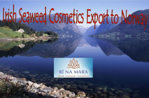 Exporting Irish Seaweed Cosmetics to Norway